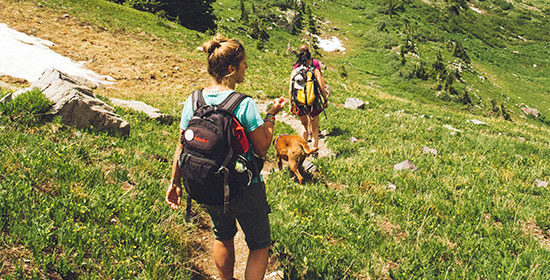 Chicas y perro haciendo una ruta de senderismo