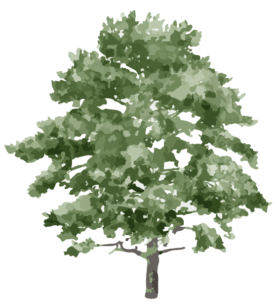 Ilustración de un árbol